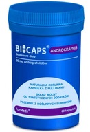 ANDROGRAPHIS ForMeds BICAPS 60 kaps. na IMUNITU pečene hepatocyty