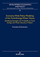 Economy-Wide Policy Modeling of the