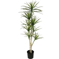 JUKA sztuczna DRZEWO trawa dracena SILIKON 150 cm