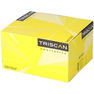 Triscan 8813 16012 Ventil AGR