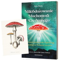 Amanita Muscaria - Mikrodozowanie Muchomora Czerwonego Baba Masha Muchomor