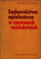 Sądownictwo opiekuńcze w sprawach małoletnich