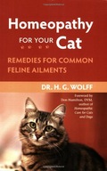 Homeopathy for Your Cat: Remedies for Common