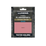 Tester farby Luxens Plamoodporna Cabaret 5 25 ml