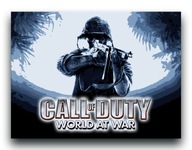 Call of Duty World at War OBRAZ 40x30 plakat gra