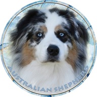 Samolepka na auto - Australský ovčák - Australian Shepherd