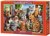 Puzzle 2000 Koty w domu C-200726