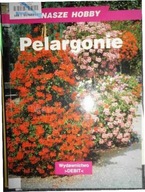 Pelargonie. 60 kolorowych fotografii - Hofmann