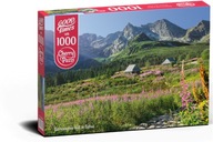 Puzzle Pásová hala v Tatrách 1000 dielikov.