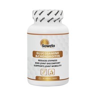 SOWELO GLUCOSAMINE & CHONDROITIN glukozamín tablety 90 ks.