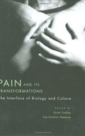 Pain and Its Transformations: The Interface of