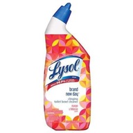 Lysol Brand New Day 709 ml - Antibakteriálny gél