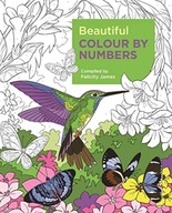Beautiful Colour by Numbers James Felicity