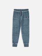 Coccodrillo Joggery ZC3120102GBJ Szary Regular Fit