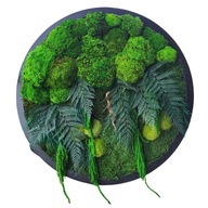 Zelený obraz z machu so stabilizovanými rastlinami, 80 cm