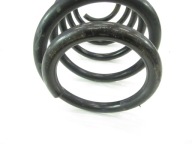 spring springing front front M Pakiet BMW e53 X5 6750338