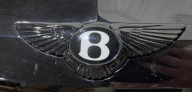BENTLEY BENTAYGA BLENDE ABDECKUNG GRILLA GRILL 36A853653