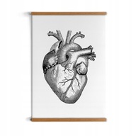 Anatómia srdce poster s dreveným rámom 30x40