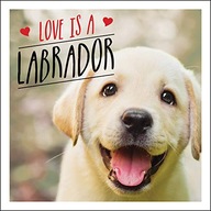 Love is a Labrador: A Lab-Tastic Celebration of