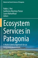 Ecosystem Services in Patagonia: A Multi-Criteria