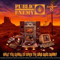 Public Enemy: What You Gonna Do When The Grid