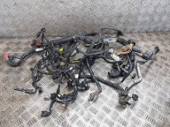 bundle OKABLOWANIE of the engine NISSAN PULSAR C13