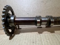 AUDI A8 D4 3.0 TFSI CTU Arbre à cames d’échappement Droite 06E109102BF