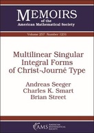 Multilinear Singular Integral Forms of