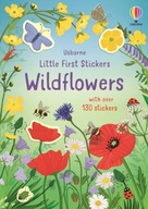 Little First Stickers Wildflowers Young Caroline
