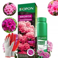 Mikoryza szczepionka do rododendronów wrzosów borówek azalii Biopon 250 ml