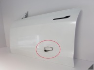 TESLA MODEL 3 17- dveře levé předek