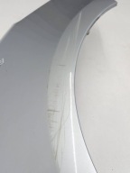 fender left front front RENAULT CLIO III
