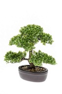 sztuczne drzewko BONSAI Ficus mini 32 cm drzewka