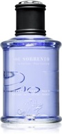 Jeanne Arthes J.S. Joe Sorrento woda perfumowana dla mężczyzn 100 ml