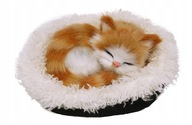 Spiaca mačka Mačiatko na vankúši ako živý miazga