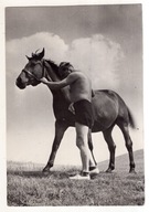 Ostróda - Wczasowicz i Koń - FOTO 1954
