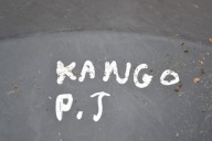 mudguard right rear part RENAULT KANGOO II