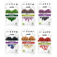 Chlorella Chia Czarnuszka Morwa Jagody Acai Goji Purella Superfoods Mix 6x