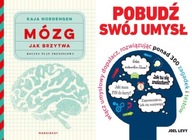 Mózg brzytwa +Pobudź swój umysł