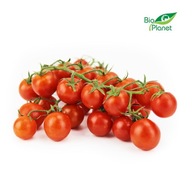 Pomidory cherry na gałązce świeże bio około 3 kg