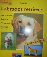 Labrador retriever Ursula Birr