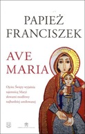 Ave Maria Marco Pozza, Papież Franciszek