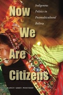 Now We Are Citizens: Indigenous Politics in