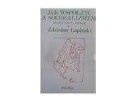 Jak współżyć z Socrealizmem - Łapiński
