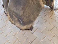 mudguard front front left right MASERATI QUATTROPORTE V 4.2