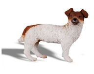 PIES JACK RUSSELL TERIER