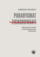 Paradygmat zignorowany Agnieszka Wołowicz