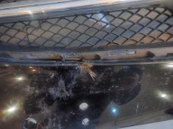 bumper front MERCEDES E-KLASA W212 LIFT 2013