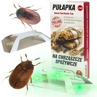 RAGASZTÓS CSAPDA KONYHAI CSAPDA ÉLELMISZERIPARI CSAPTELEPEK RAGACSOS CSAPTELEPEK 1 DB