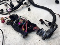 bundle motor wiring AUDI A4 B7 2.0 TFSI 8E1971074CE